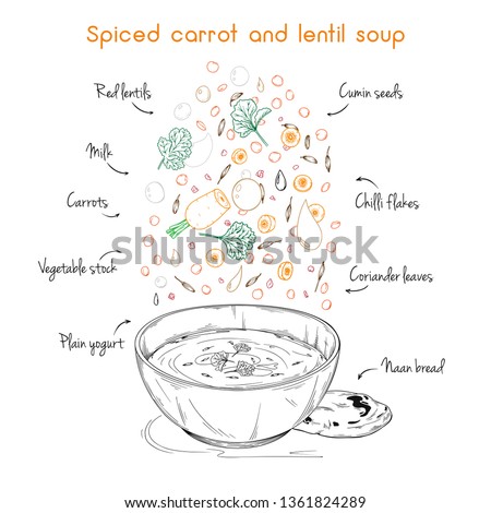 Simple recipe for soup. Spiced carrot and lentil soup. Vector illustration Royalty-Free Stock Photo #1361824289