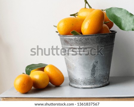 kumquat in metal bucket on white background