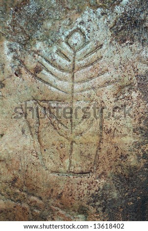 Rock picture. Age is 13-14 thousand years. It is in one of caves of Crimea (Ukraine) on a depth 17 meters. Here an ancient artist is represent a vase with the branch put in it.