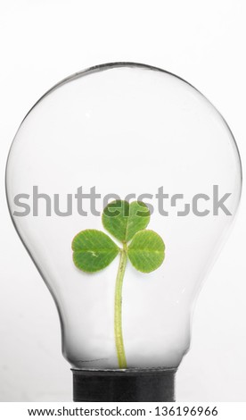 Shamrock inside light bulb against white background