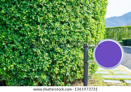 Purple circle badge Set in the morning garden.In the garden there is a circular sign. Located in it