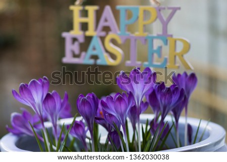 Easter Fresh Flower Decorations. Concept: HAPPY EASTER Card. 