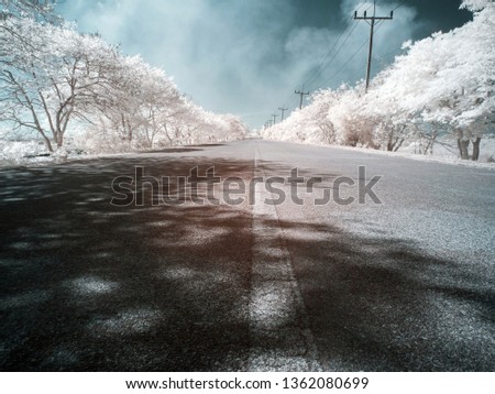 infrared photography -Road through the tree