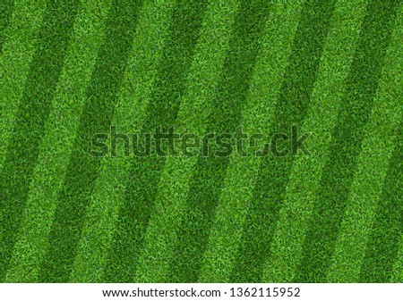 Green grass field background for soccer and football sports. Green lawn pattern and texture background. Close-up image.