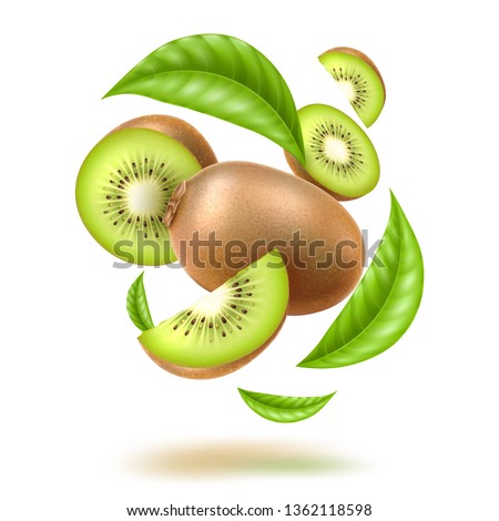 Realistic kiwi with green leaves swirl flow. Juicy exotic whole fruit, half and slice in motion Fresh organic food for healthy eating Ripe tropical berry for sweet dessert. Food package vector design. Royalty-Free Stock Photo #1362118598