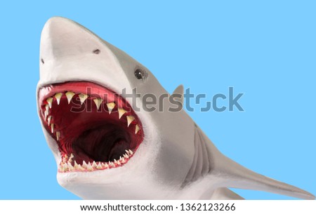 stuffed shark with open mouth. isolate on blue background