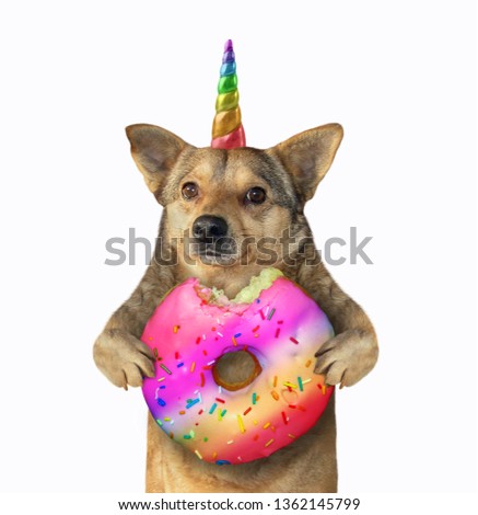 The dog unicorn is eating a big color donut. Isolated. White background.