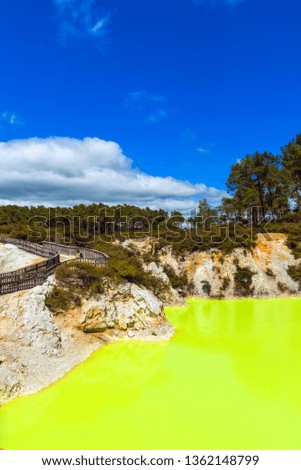 Water pond, made yellow by sulfur in Wai-O-Tapu Geothermal Wonderland, Rotorua, New Zealand. Vertical. Copy space for text                    