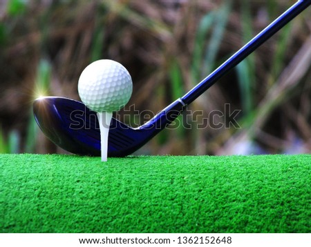 golf club and golf ball close up in grass field with sunset. Golf ball close up in golf coures at Thailand Asia