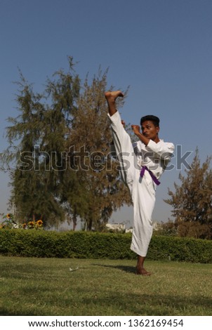 a martial art kick