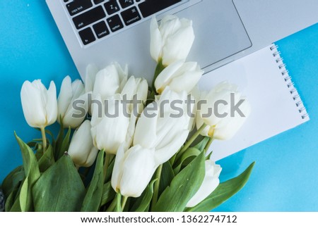 On a blue background is a female desk with a laptop and a gift with white spring tulips and a notebook. Place for text. Template. Postcard. View from above