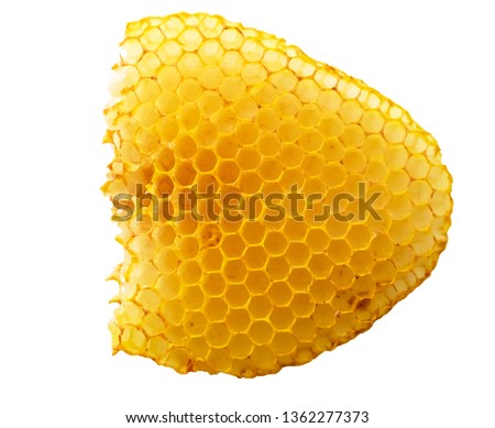 Empty bees honeycombs without honey closeup isolated white beckground