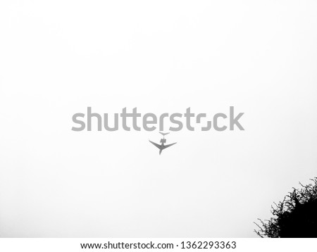 Black and white picture photo of Aeroplane airplane in the open empty  sky.