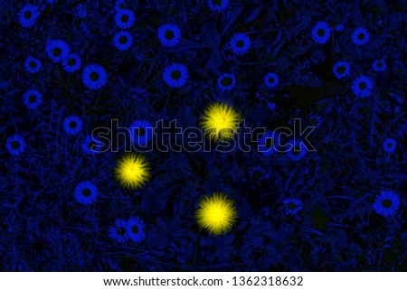 luminescent dandelion in abstract flowery meadow