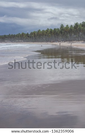 Beaches of Brazil - Paiva's Beach - Jaboatao - Pernambuco State