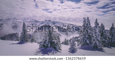 Winter in the mountains 
