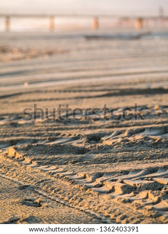 Tractor tyre tracks in beach sand at sunset, tractors are used in italy beach of viareggio to clean and prepare the sand for summer season.