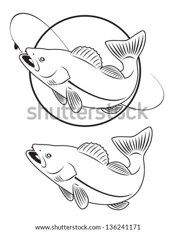 the figure shows the predatory fish