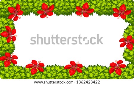 A hibiscus flower frame illustration