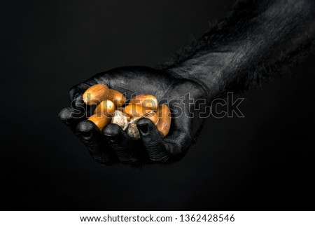 the hand is completely in black paint holding a handful of acorns. Horizontal frame