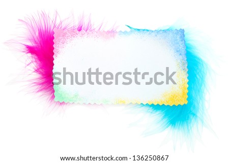 Beautiful decorative feathers and blank card, isolated on white