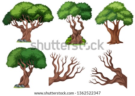 Set of ornamental  tree illustration