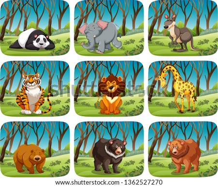 Set of wild animal in forest illustration