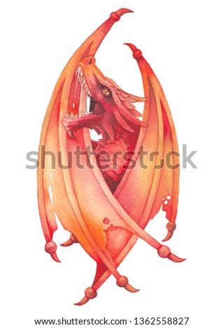 Roaring watercolor dragon with closed wings in red colors. Hand painted illustration isolated on white background