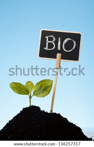 bio and organic concept