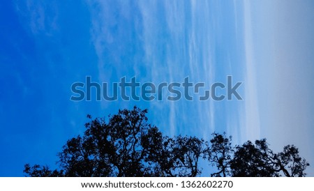 Soft and blurred light,The bright blue sky in the summer sky and the faint white clouds make the sky look stunning today.
Images of white clouds on a beautiful and bright blue background