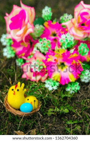 Easter Holiday Blank Postcard Pictures                          