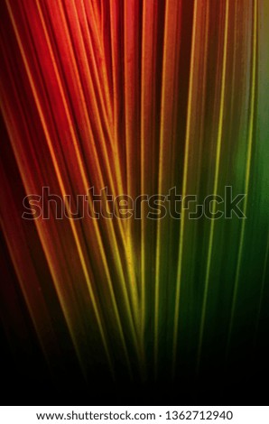 Abstract Multi Gradient Colorful Coconut Leaf Background