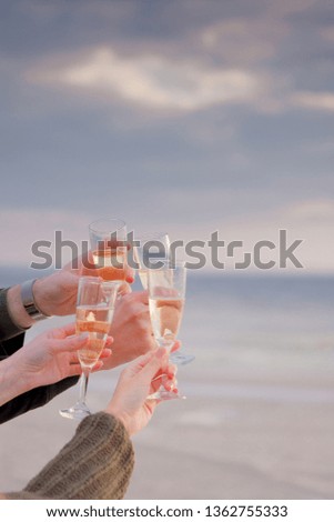 
the company of people snickered with glasses of wine against the background of the sea