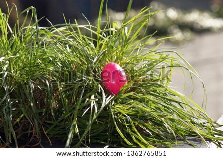 Colorful Easter egg On the green Meadow                      