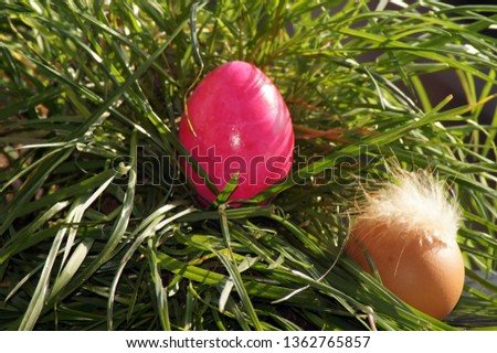 Colorful Easter egg On the green Meadow                      