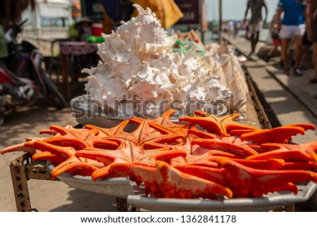 Starfish on a plate for sale with shells in background, picture from Phu Quoc Island Vietnam. 