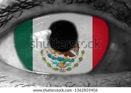 Mexico flag in the eye