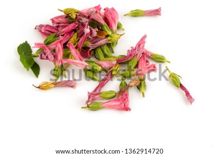Hibiscus flowers on white background.