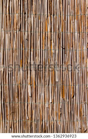 old bulrush fence, vertical brown abstract surface texture background