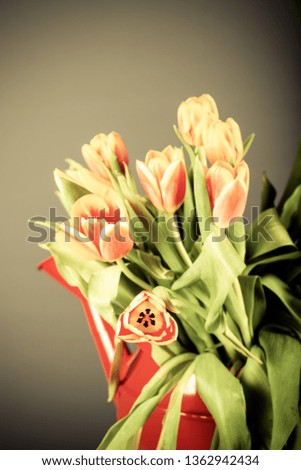 Bright tulips on the dark background. Toned.