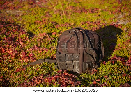 Photo backpack on a background of grass in the tundra in the bright sunset light to an outdor. Photo accessories