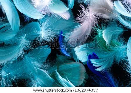 seamless background with bright blue, green and turquoise soft feathers isolated on black