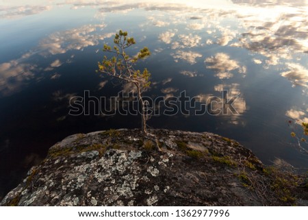 Small pine tree on the stone island in the middle of the lake. Clouds reflection in the water. Karelia, Russia Royalty-Free Stock Photo #1362977996