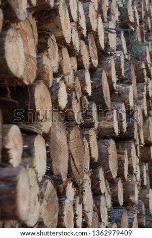 pile of wood logs closeup selective focus
