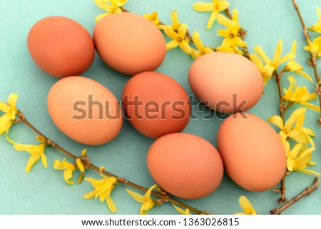 Easter background with eggs and spring flowers. Top view with copy space.