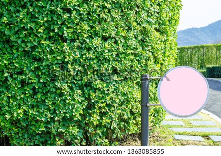Pink circle badge Set in the morning garden.In the garden there is a circular sign. Located in it