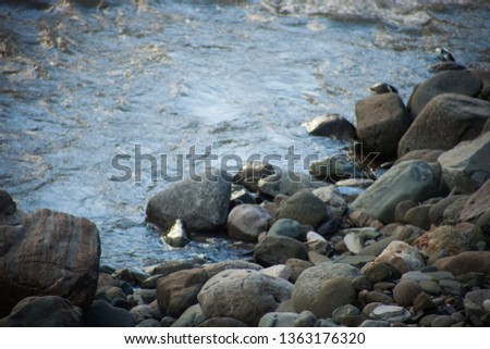 the stones lying in the river MZYMTA