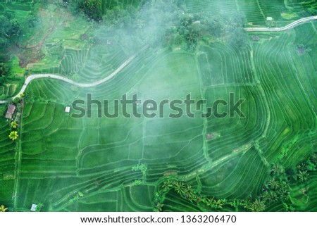 Winding road in Jatiluwih Rice Terraces. Beautiful green paddy fields. Сloudy and foggy weather. Photo from drone. Bali, Indonesia.