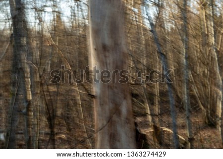 lens motion blur natural in nature background. autumn colors abstract