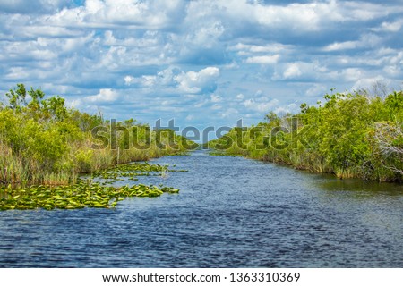 Everglades National Park. Swamps of Florida. Big Cypress National Preserve. Florida. USA.